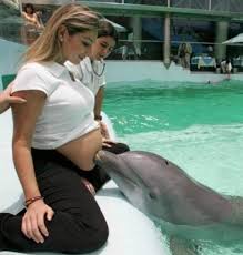 Dolphin fucks girl jpg x Dolphin fucks girl