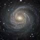 Whoa! Let's slow down talk of a fifth fundamental force of nature 