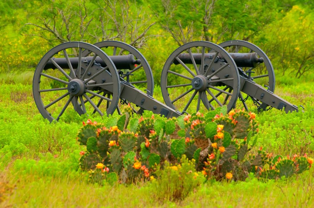 Palo Alto Battlefield National Historical Park by null