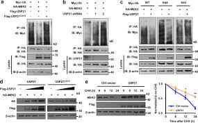 kim yuna nude fake |2006 October Stuff Magazine Yunjin Kim, The women of Lost! (MH435) | eBay