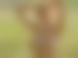 blonde glamour nude |Download photo 1440x900, helen, alena hemkova, scarlett a, model, glamour,  blonde, big boobs, big breasts, amazing, sexy, beautiful, big tits, pussy,  beauty, face, eyes, nipples, perfect, body, nude, long hair, gorgeous, busty