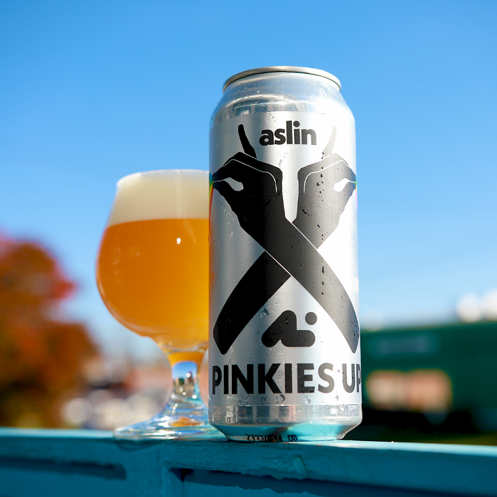 Aslin Beer Company by null
