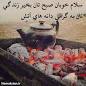 Image result for u202bشعر جديد براي صبحu202c