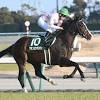 【シンザン記念レース後コメント】マテンロウオリオン横山典弘 ...