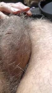 Hairy cock and balls jpg x Hairy cock and balls