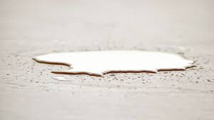 中学生 小学生 射精|知識編 思春期のからだと生理(月経) | からだのノート おとなになるということ | ロリエ | 花王株式会社