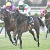 【福島牝馬S予想】距離延長馬が不振傾向。昇級馬に妙味ありも不安 ...