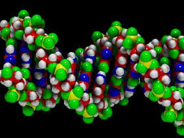 http://t1.gstatic.com/images?q=tbn:ANd9GcTYC8sTd17AKwVZKH5aWj7uDbf7pFxJDv7UjXORCO-jm3hE3EB_u1sP9TjpHw