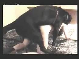 Hot teen getting fucked a big dog luxuretv jpg x Big dog fucks girl