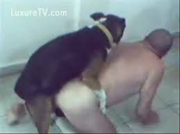 Af bedbrandon fucks dogs again gaybeast com siterip jpg x Guy gets fucked by dog