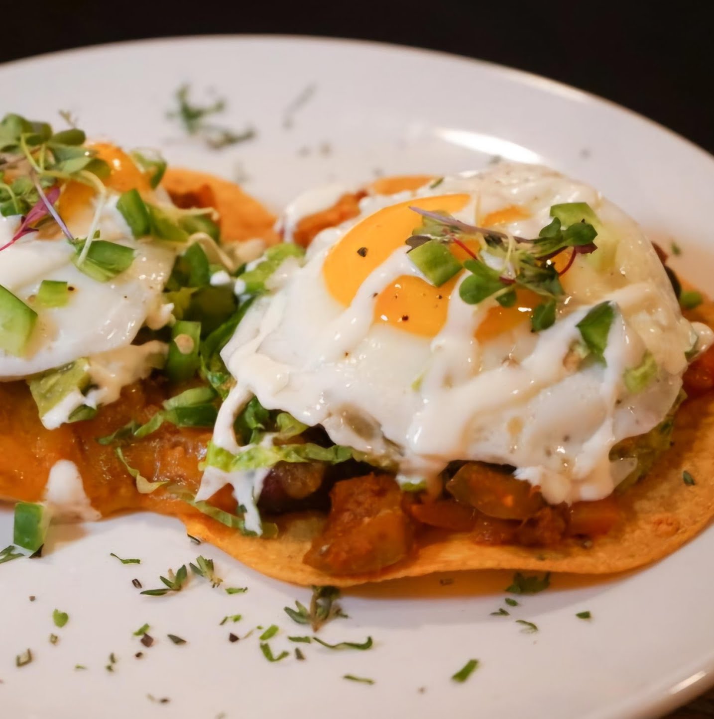 Turtle Bay Tavern by null