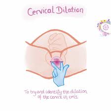 child examination vagina|A toddler with a pruritic rash