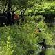 2 Bodies Found This Week in Waters of Central Park 
