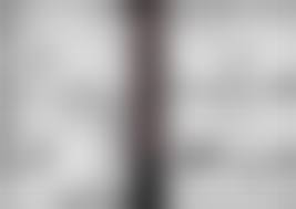 インピオ　二次|dog eat dog era】続編でも催眠かけられるおっぱい たまには女性向けもいいよね【竜人族奴隷の双子と催眠交尾】 - ジーコゲーム.xyz