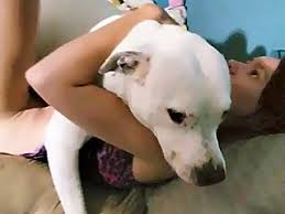 Masked short haired girl animal sex with dog jpg x Girl animal sex