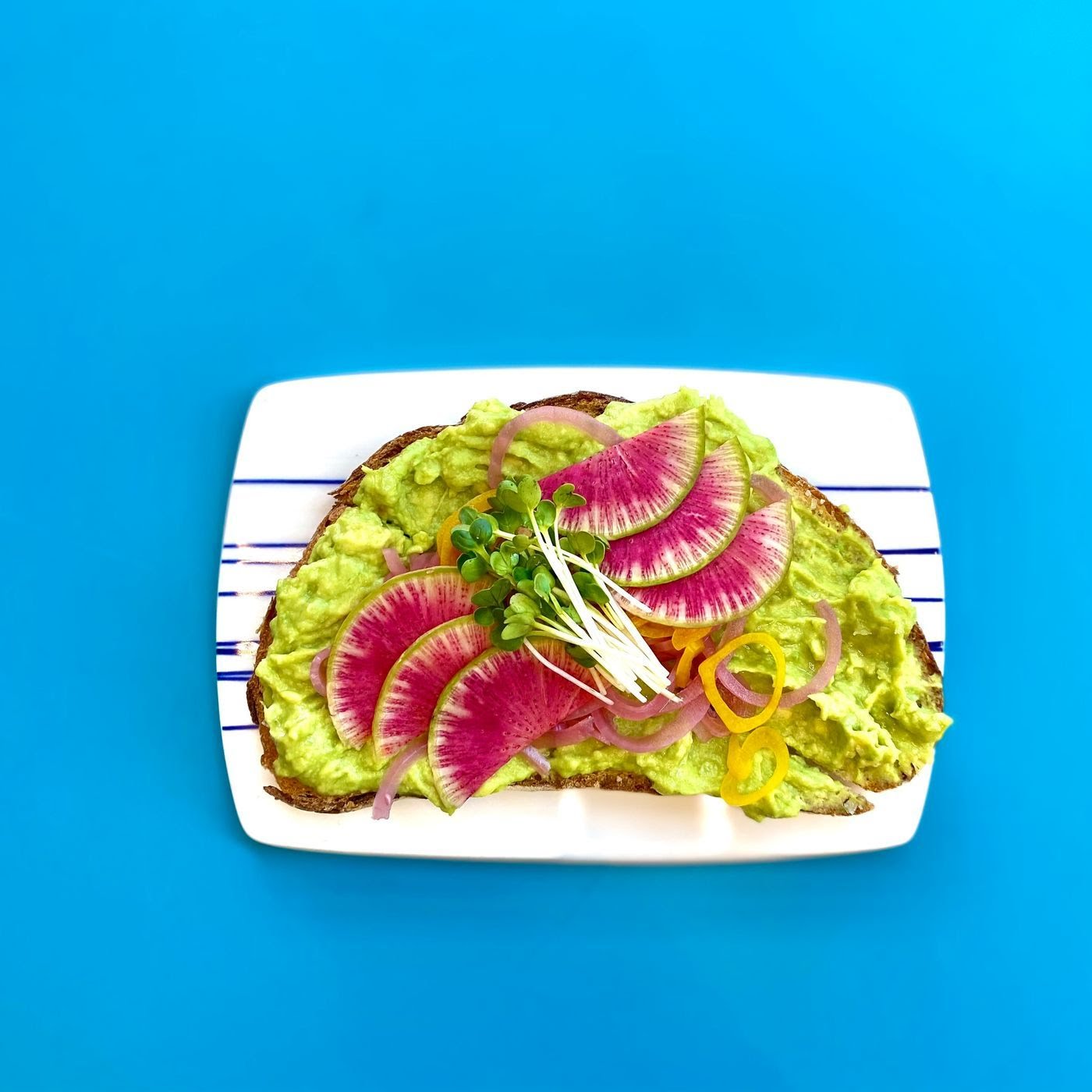 Backyard Bowls by null