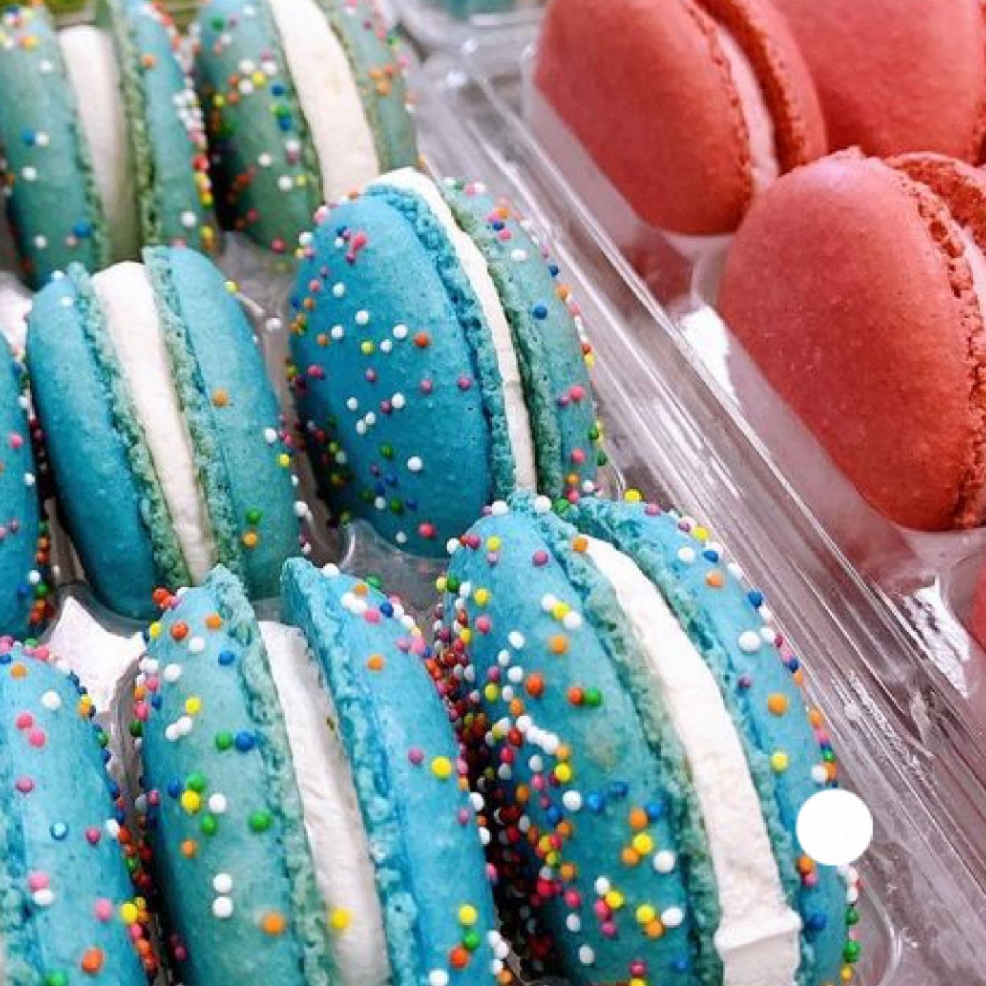 Ramona Susan's Bake Shop by null