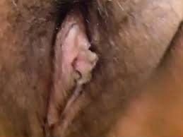 Wet hairy orgasm jpg x Wet hairy orgasm