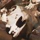 Adelaide racing trainer Trevor Day charged for dumping dead horses in ... 