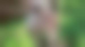 18 teen naked skinny anal sex|Skinny Girl Anal Sex Porn Gif | Pornhub.com