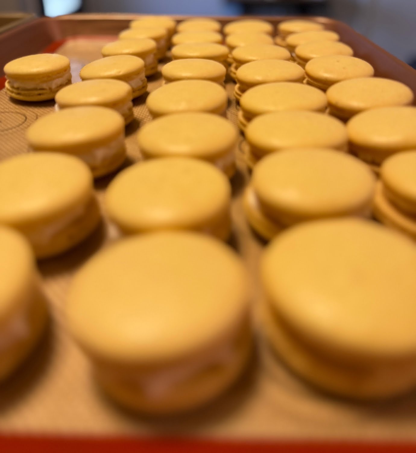 Roots Salad Kitchen by null