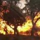2 killed in California wildfire that left little time to flee 