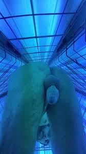 Tanning bed jpg x Tanning bed