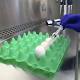 Bird flu found in Tennessee chicken flock on Tyson-contracted farm 