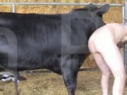 Trystan bull next door studios handsome hung canadian gay porn star smutjunkies gay porn star male model directory jpg x Bull gay