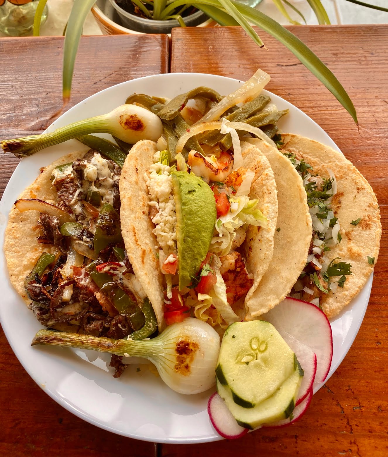 Taqueria Morales by null