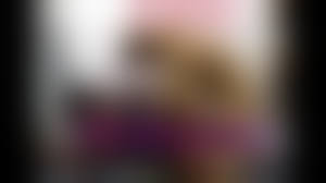 bestiality amateur|Amateur oral bestiality action with a trained beast