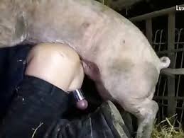 Guy fuck female dog gaybeast rip beastiality sex tube with men extrem sex and taboo porn jpg x Guy fucks animal