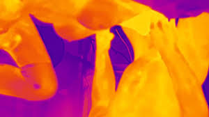 Infrared cameras can capture jpg x Infrared camera