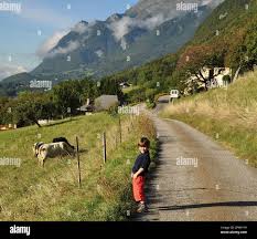  young pissing|An Indian Man Standing Peeing Outdoor Near Side Of The Road, Outdoor,  Urinary Problem Concept, A Man In Blue Jean Is Urinating Or Pissing Outdoor  In Greenary Area Or In Nature Stock