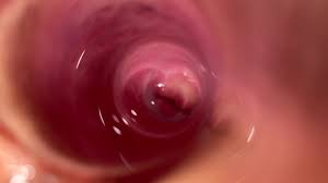Testing new camera with dildo in tight hole free porn videos youporngay jpg x Dildo camera