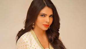 Sherlyn chopra granted protection bail supreme court in porn film racket case jpg x Chopra poonam