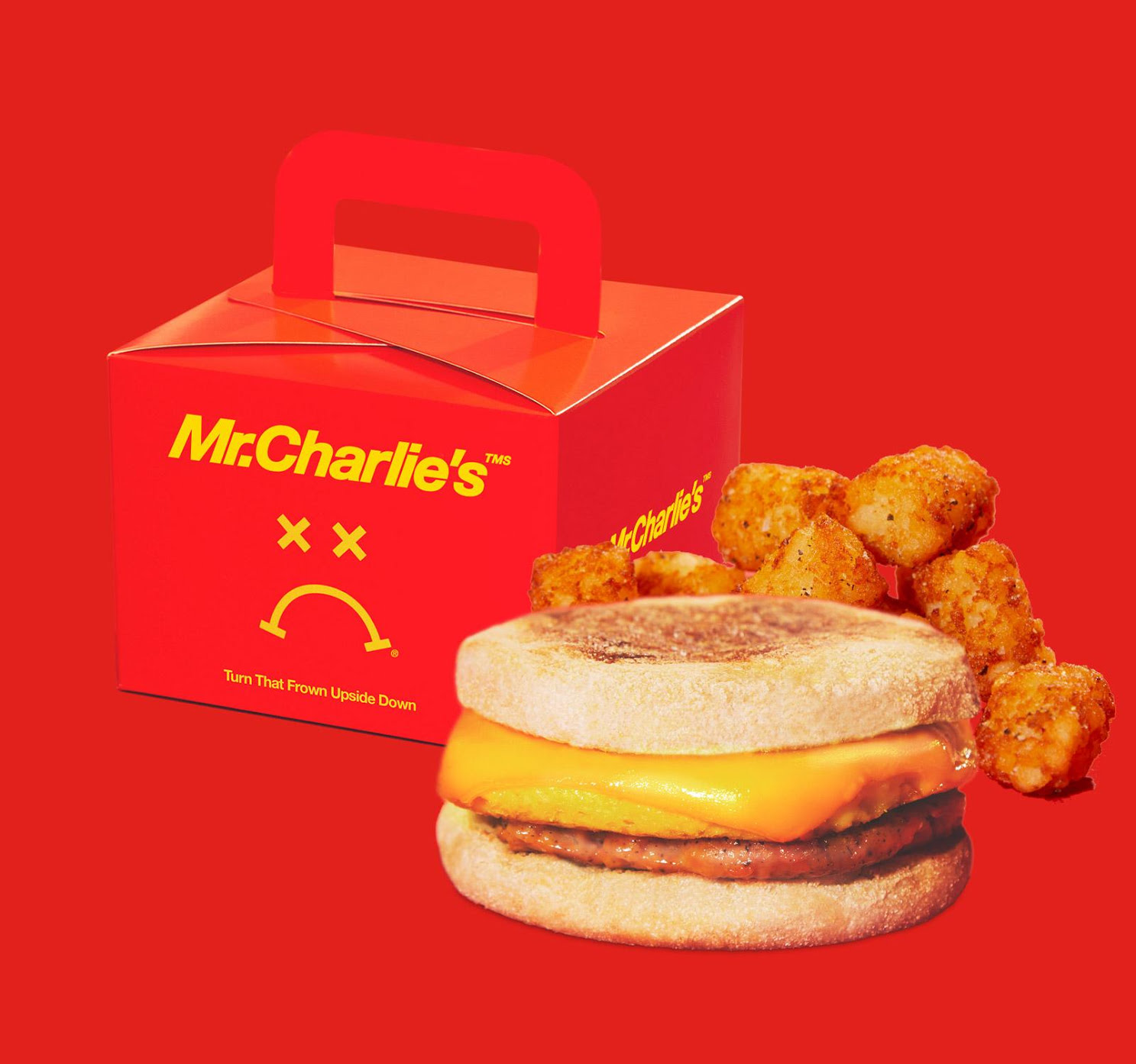 Mr.Charlie's TMS by null