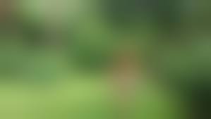 inapropriate parenting naked|step mom and daughter, Photo album by Nicehardblkcock - XVIDEOS.COM