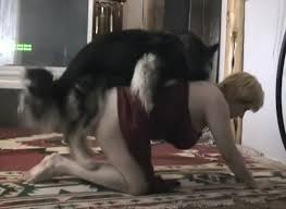 Sexy sluts having sex with dogs in dog porn compilation luxuretv jpg x Women having sex with dog