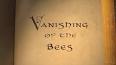 The Curious Case of the Vanishing Honeybees ile ilgili video