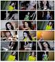 Image result for u202bدانلود موزيک ويديو جديد لطيفه عزيزي بنام گلم دهu202c