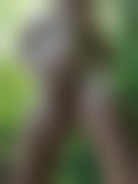 mature nude  big ass|Gorgeous big ass mature milf nude pics - maturenudewomen.net