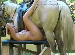 Horse dildo testing ahri and real webcam purple bitch dildo anal jpg x Girl uses horse dildo