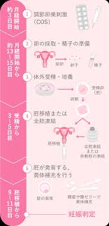 子宮口精子注射画像|TSI/IUI | コウノトリ生殖医療センター