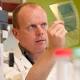 Researchers identify single RCAN1 gene responsible for onset of type 2 diabetes - News