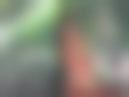 諏訪野しおりオッパイ|2冊セット アイドル発掘写真館 vol1、2 諏訪野しおり 谷本重美 の商品詳細 | JDirectItems Auction | One Map  by FROM JAPAN