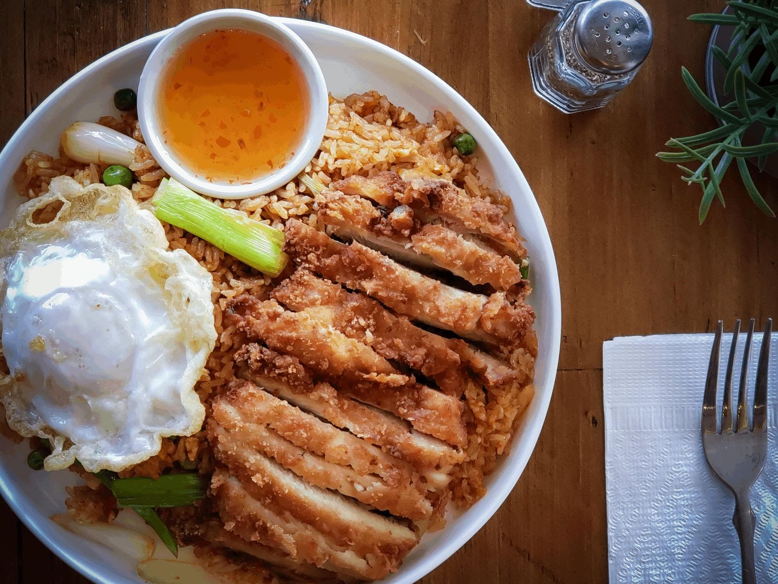 Coconut Newton by null