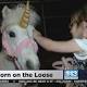 'Unicorn' leads CHP officers on a nearly four-hour chase 