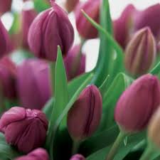 ������ ���� ������ �� ���� ������