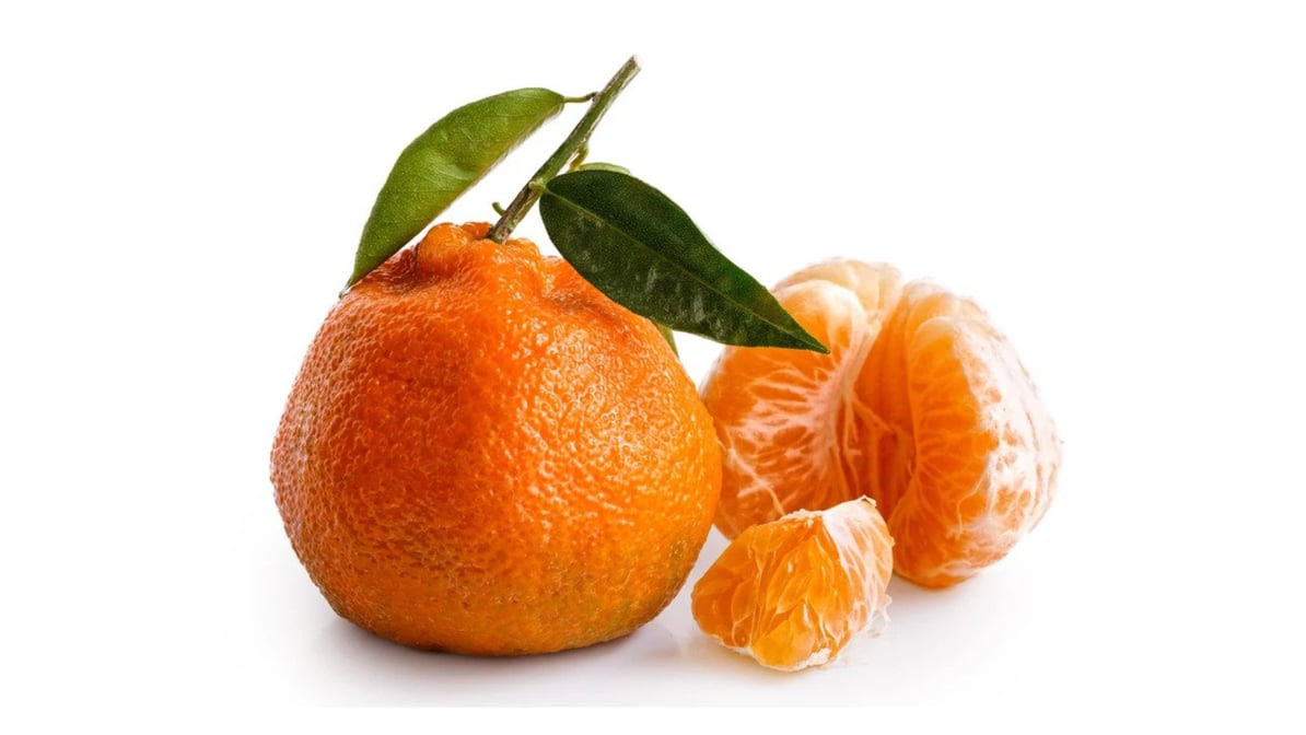 Bel-Clift Grocery by null